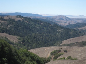 view near the top of loma alta trail